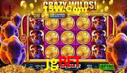 jgbet Brasília - Betting Features